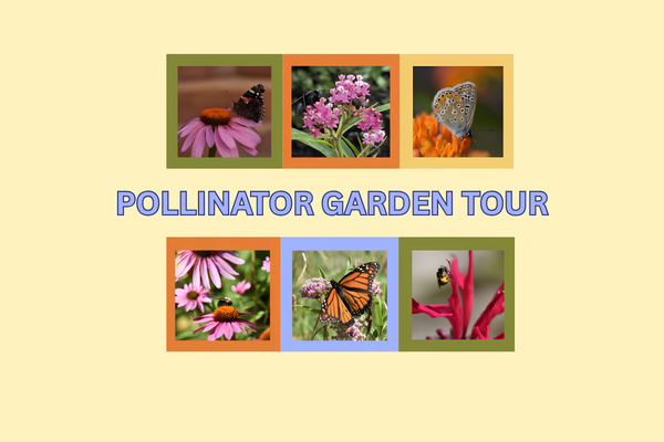 Pollinator Garden Tour